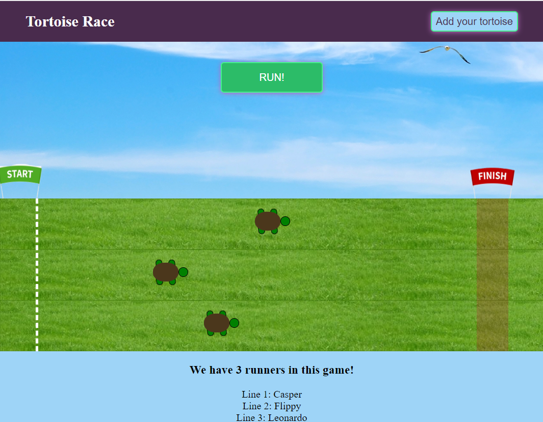 Tortoise Torus Javascript NR
